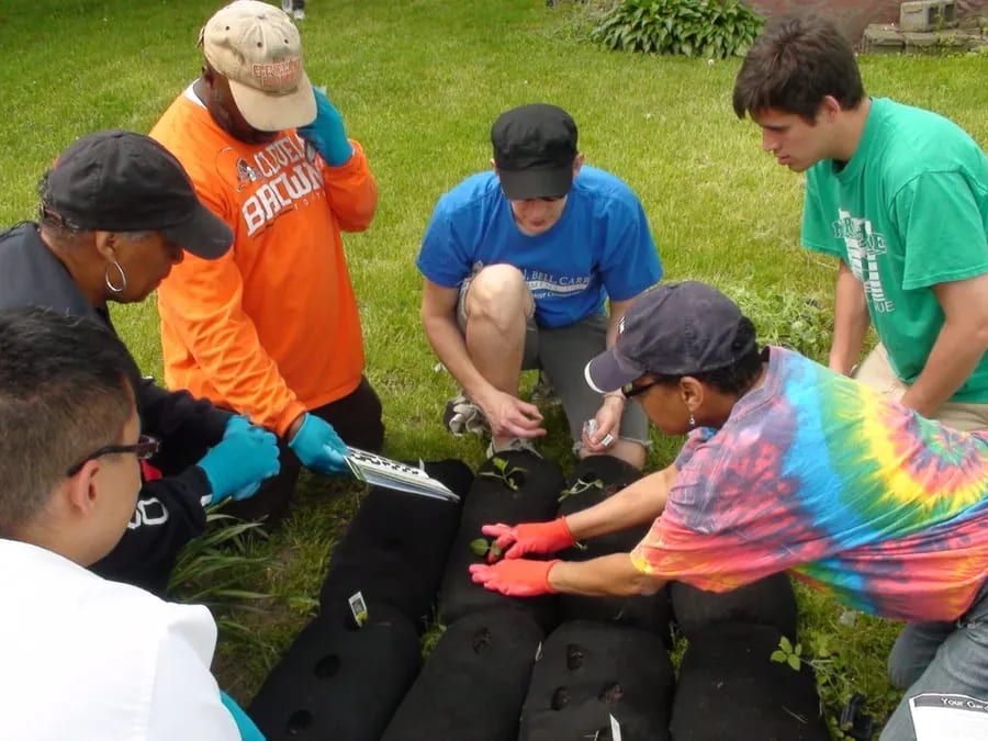 Volunteers kneeling on the grass around black fabric grow bags, planting young seedlings into them