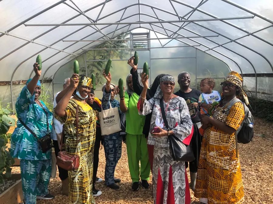 A group of adults in colourful clothing hold up freshly picked cucumbers inside a greenhouse, one of them holding a baby