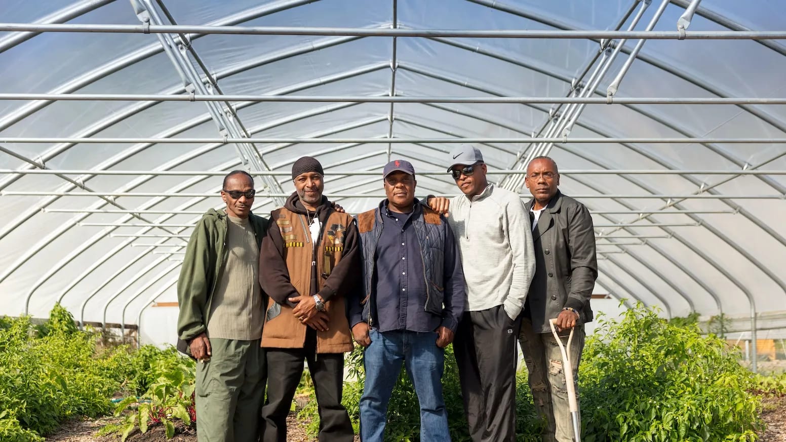 Five men standing side by side inside a large plastic-covered greenhouse, with rows of green plants on either side of them